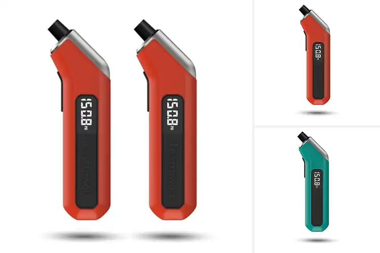 Detailed view of Best Tire Gauges with Replaceable Batteries